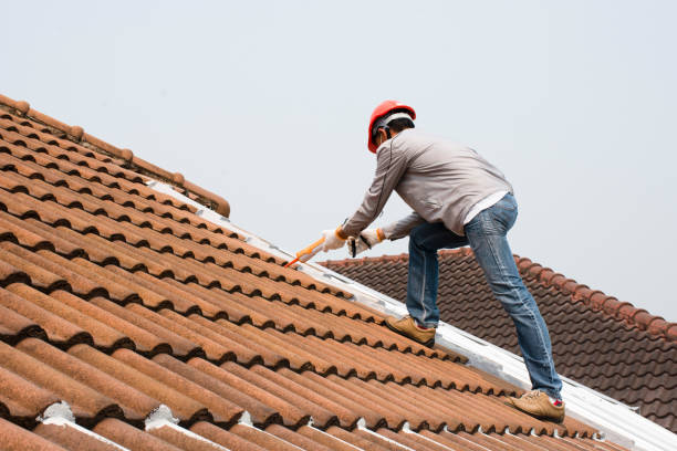 Best Green or Eco-Friendly Roofing Solutions  in River Road, NC